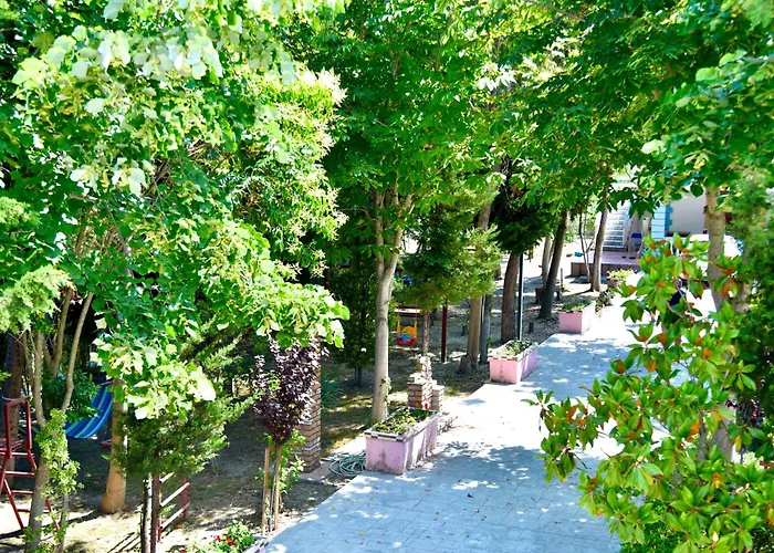 Gridi- Me Qera *