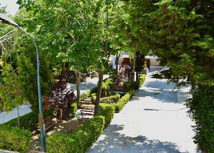 Gridi- Me Qera Spille